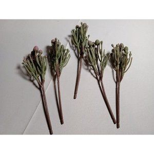Hobby Lobby Desert Plant Faux Floral Picks Lot of‎ 5 -New w/out Tags